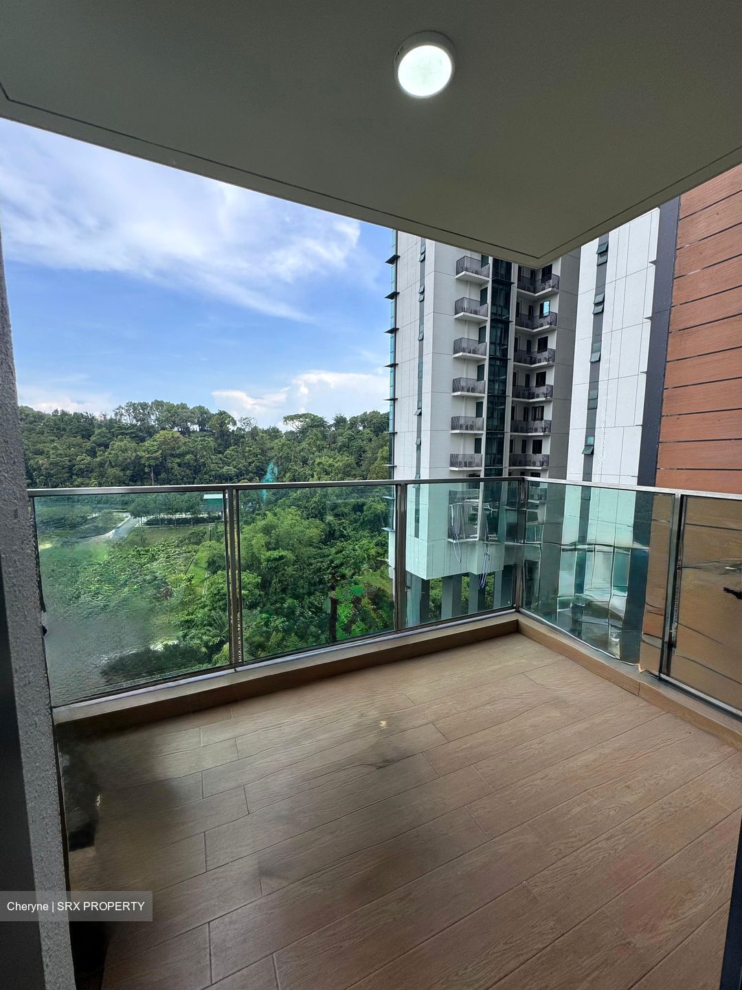 Normanton Park (D5), Apartment #557859601